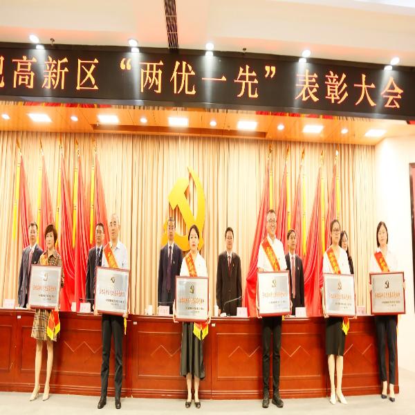 光荣在列！出黑平台科技党支部荣获合肥高新区“先进基层党组织”称号